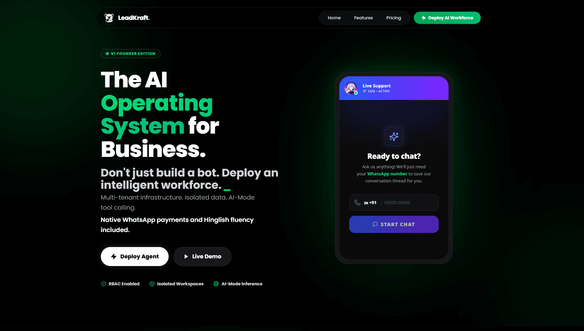 Interface preview of LeadKraft AI
